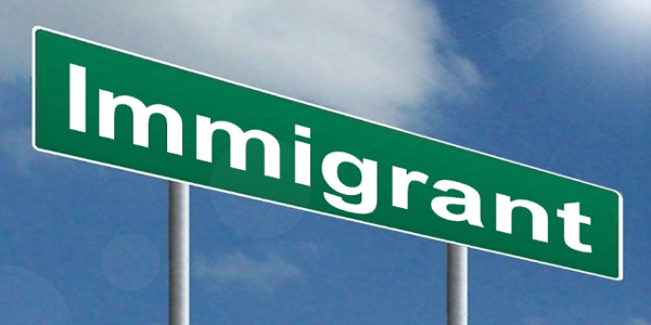 Pros and Cons of Immigration