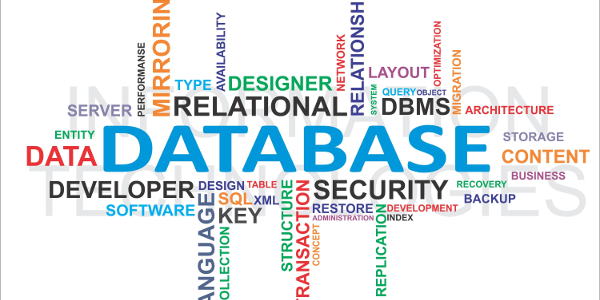 Pros and cons of databases