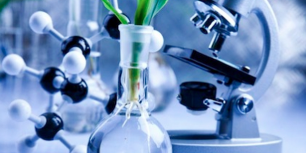 Pros and cons of bioengineering