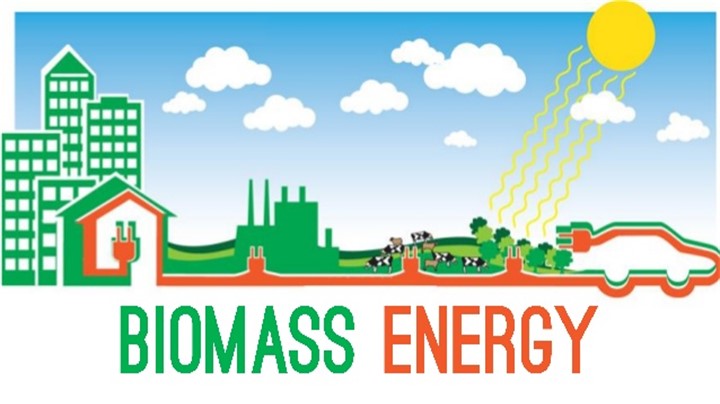 Pros and Cons of Biomass energy