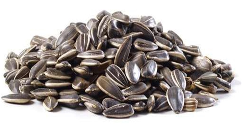 Pros and Cons of Eating Sunflower Seeds