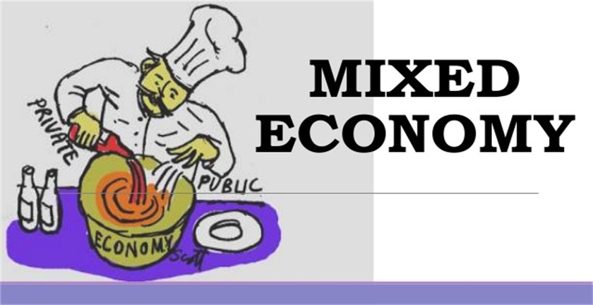 Pros and Cons of Mixed Economy