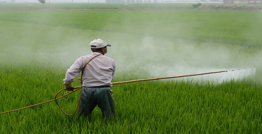 Pros and Cons of Pesticides