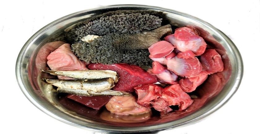 Pros and Cons of Raw Dog Food