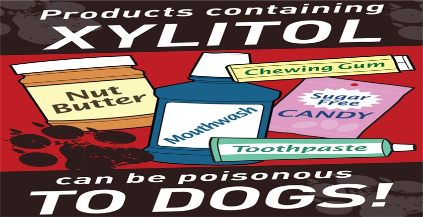 Pros and Cons of Xylitol