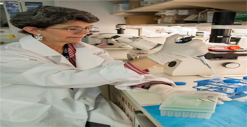 Pros and Cons of Xenotransplantation