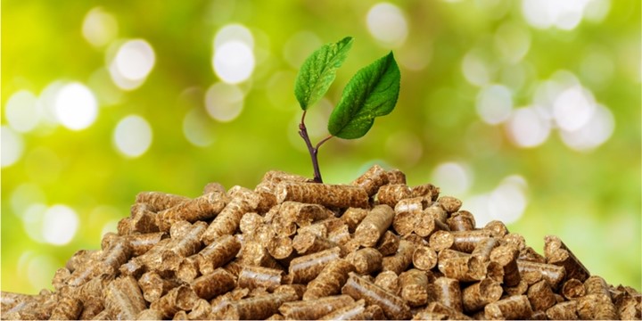 Pros and Cons of Biomass