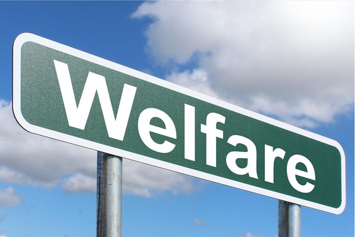 Pros and Cons of welfare