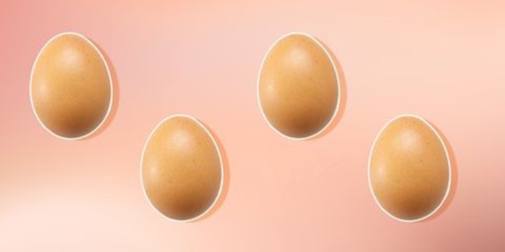 Pros and Cons of Donating Eggs