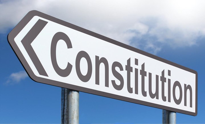 Pros and cons of constitution