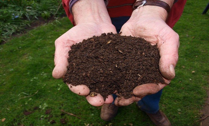 Pros and Cons of Composting