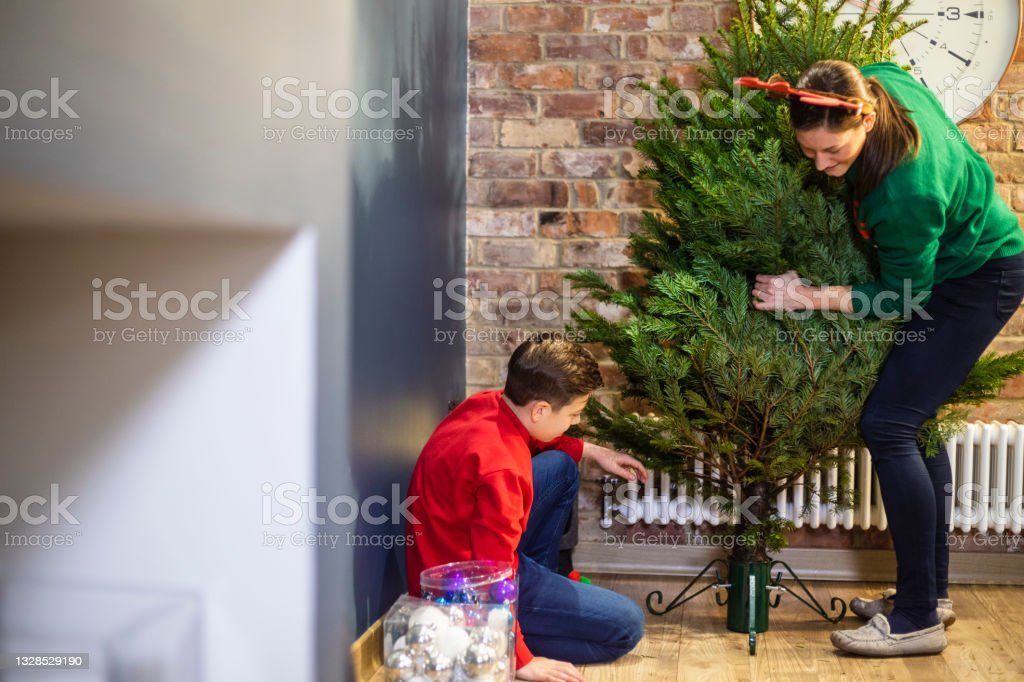 Pros and Cons of real Christmas trees.