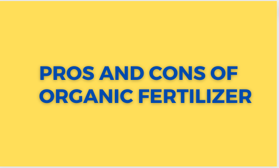 Pros and Cons of Organic Fertilizer