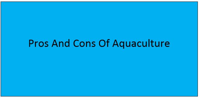 Pros And Cons Of Aquaculture